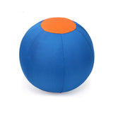 Inflatable Pet Training Ball