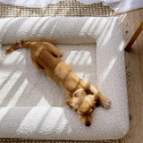 Memory Foam Waterproof Dog Bed