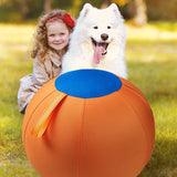 Inflatable Pet Training Ball